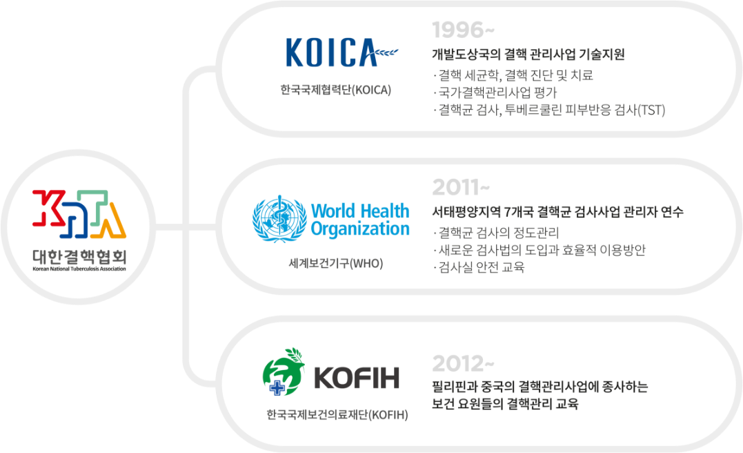 한국구제협력단(KOICA) 활동, 세계보건기구(WHO) 활동, 한국구제보건의료재단(KOFIH) 활동 