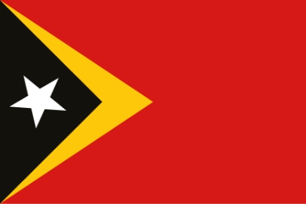 동티모르 국기